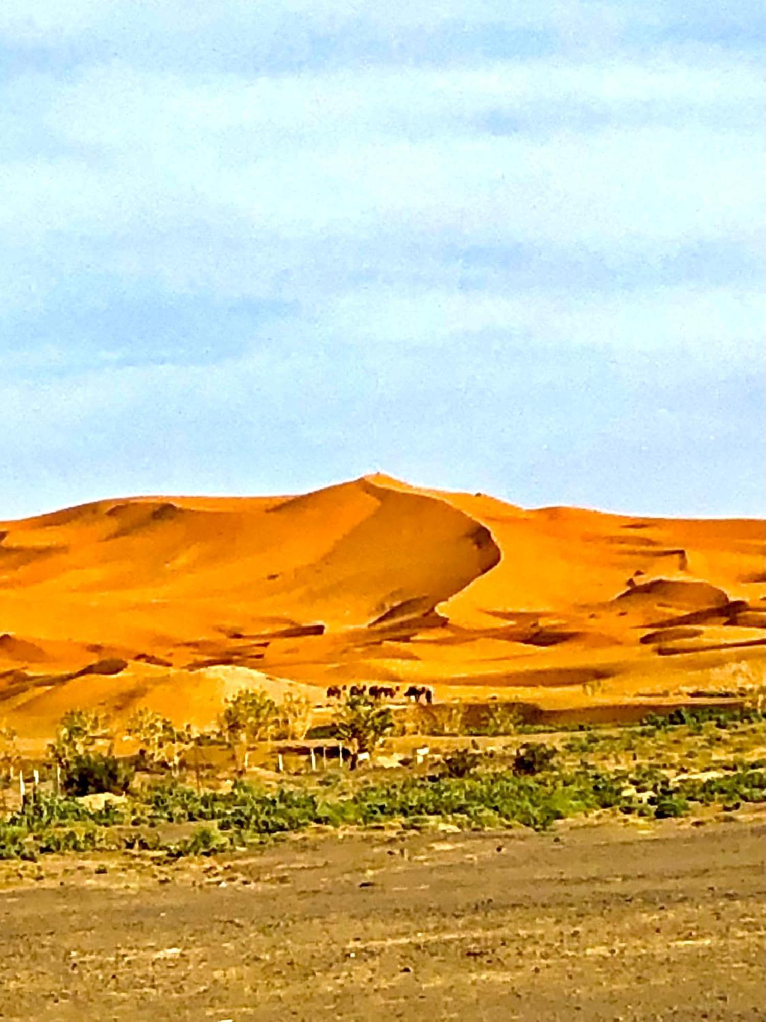 Bivouac La Fibule Des Dunes 메르주가 외부 사진